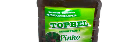 Desinfetante Uso Geral Pinho – 5L